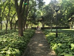 -玲珑塔公园