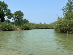 -泗洪洪泽湖湿地景区