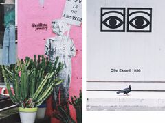 -瑞可爷爷的店(难波本店)