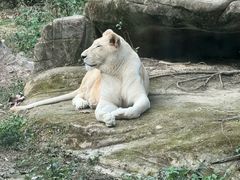 -福州动物园