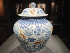 -国家自然博物馆