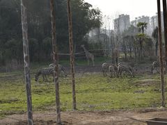 -宁波野生动物园