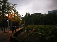 -四川大学(望江校区)