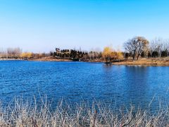 -东郊湿地公园