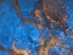 -“香”全日餐厅·株洲大汉希尔顿酒店