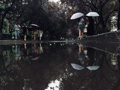 -山东师范大学(千佛山校区)