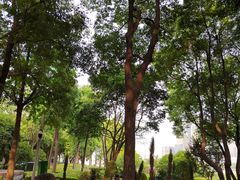 -北外滩滨江绿地