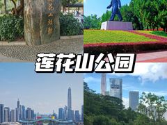 -莲花山公园
