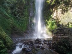 -莫里热带雨林景区