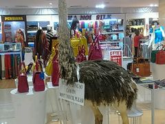 -芽庄中心购物广场