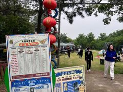 -大塘金香草谷