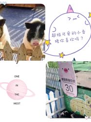 -萌宠亲子动物乐园(槐房万达店)