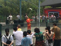 -中国扬子鳄村