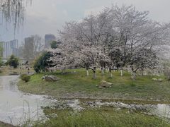 -堤角公园