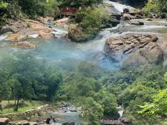 -广州白江湖森林公园