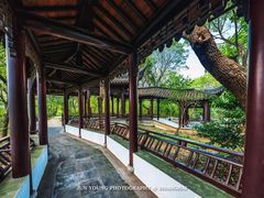 -上海佘山国家森林公园天马山园