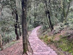 -岳麓山风景名胜区