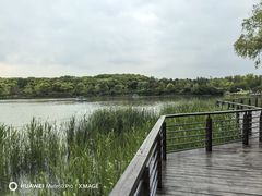 -昆山城市生态森林公园