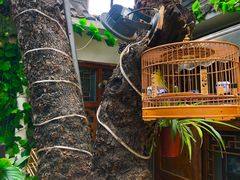 -丽江庭院·云南野生菌·海鲜火锅(鼓楼四合院店)