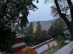 -香山公园