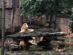 -杭州野生动物世界