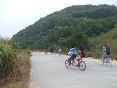 -杨梅坑