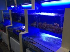 水产区-老虎滩大连海鲜烧烤(建邺云锦路总店)