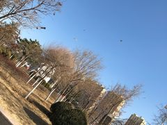 -成吉思汗公园