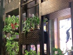 -管氏翅吧(广渠门店)