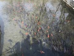 -水磨沟公园