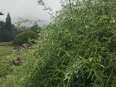 -北京宽沟会议中心