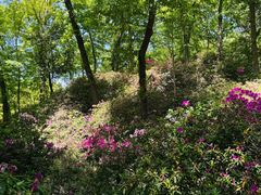 -南山风景名胜区