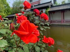 -龚家花园农家乐休闲别墅