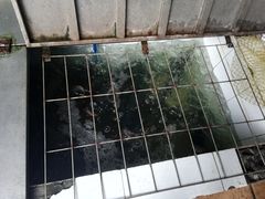 -喜运来酒楼(江南大道店)