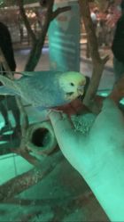 -酷嗒动物文化乐园(cutezoo西溪乐天城店)