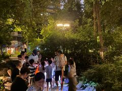 -成都市活水公园