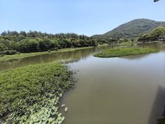 -九鲤湖风景区