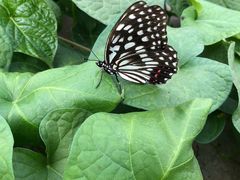 -蓝天飞扬飞行基地