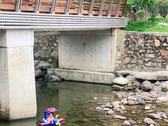 -北仑森林植物园