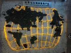 -青岛葡萄酒博物馆