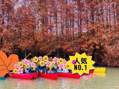 -上海海湾国家森林公园