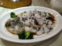 -岭南海晏楼(东晓南店)