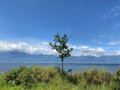 -大理洱海