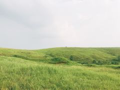 -恋山坝上草原