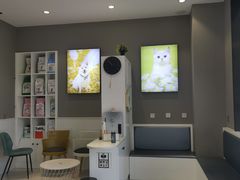 -关爱宠物医院·猫科中心·消化科(滨湖万达分院)