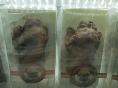 -全家便利店(星湖街店)