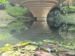 -云溪植物园