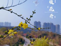 -陕西省西安植物园
