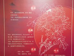 -曹州牡丹园