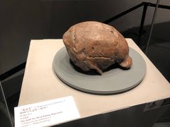 -北京周口店北京人遗址博物馆